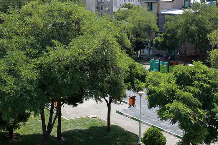 بوستان «شمشاد» در بلوار اندیشه مشهد در انتظار رای دستگاه قضایی