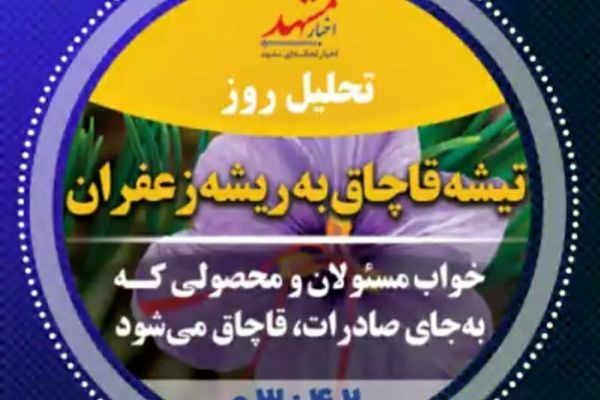 صوت| تیشه قاچاق به ریشه زعفران