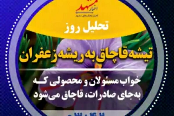 صوت| تیشه قاچاق به ریشه زعفران