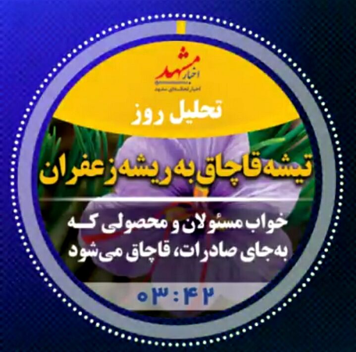 صوت| تیشه قاچاق به ریشه زعفران