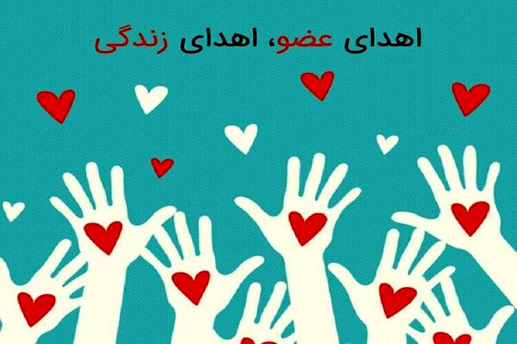 اهدای عضو در مشهد به شش بیمار زندگی دوباره بخشید