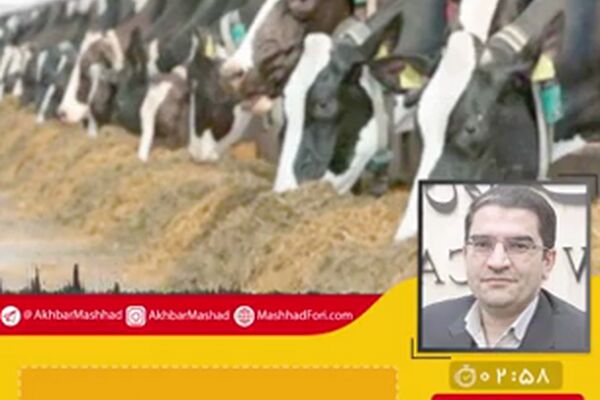 توزیع مطلوب‌تر نهاده‌های دامی را پیگیری کردم