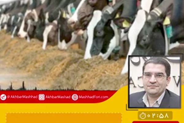 توزیع مطلوب‌تر نهاده‌های دامی را پیگیری کردم