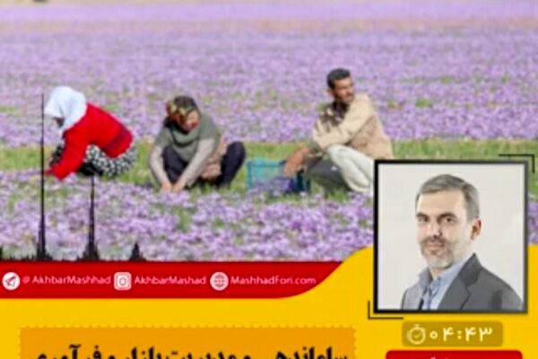 حدود ۵۰۰میلیارد از بدهی زعفران کاران را از جهاد کشاورزی نقد کردیم