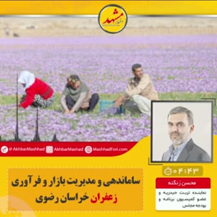 حدود ۵۰۰میلیارد از بدهی زعفران کاران را از جهاد کشاورزی نقد کردیم