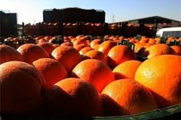 بزرگترین بازار عرضه محصولات کشاورزی در مشهد آماده بهره‌برداری است