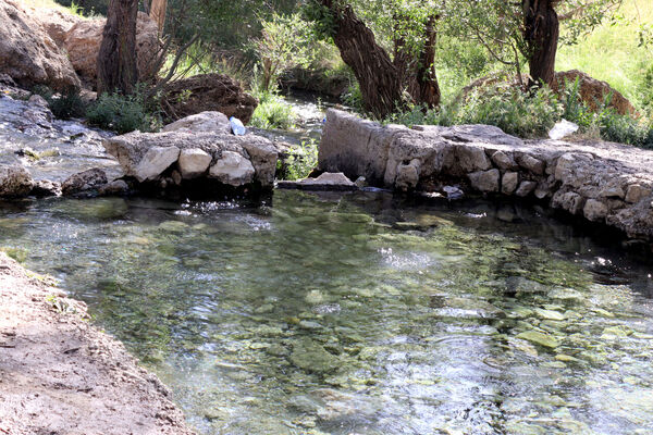 ظرفیت‌های ویژه گردشگری در 54 روستای خراسان رضوی/ مشهد هزار و ۶۲۲ واحد اقامتی رسمی دارد