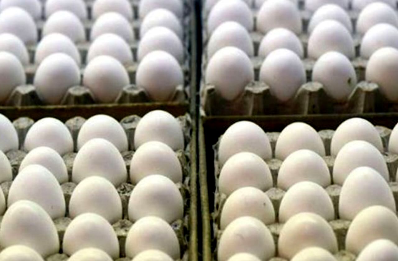 توقیف بیش از یک میلیون عدد تخم مرغ غیر بهداشتی در مشهد