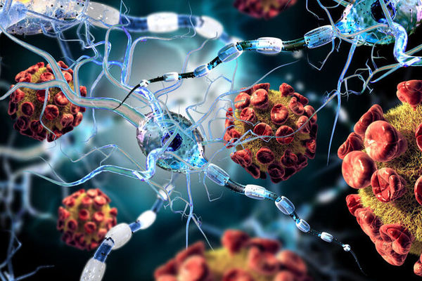 ۱۷ درصد بیماران کووید-۱۹ پس از بهبودی هم حامل کروناویروس هستند