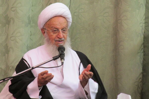 واکنش آیت‌الله مکارم‌شیرازی به موضع رئیس جمهور فرانسه