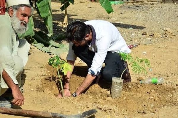 کاشت درخت در پاکستان با کمک کارگرهای بیکار شده‌ در دوران کرونا