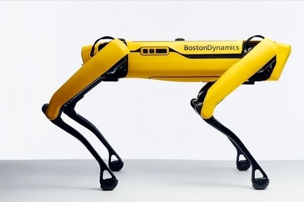 استخدام سگ رباتیک برای برقراری امنیت