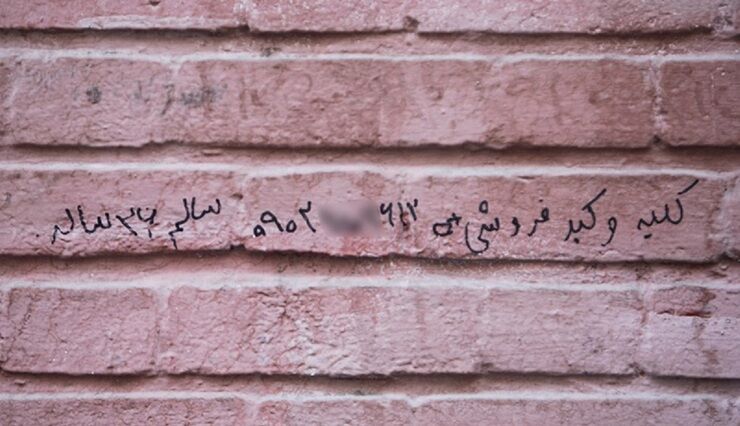 کلیه ۱۵۰، ‌نیمی از کبد ۲۰۰ میلیون تومان!