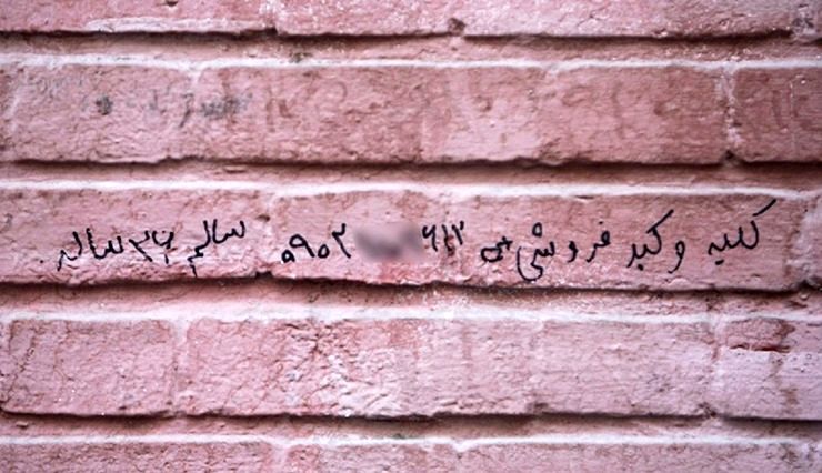 کلیه ۱۵۰، ‌نیمی از کبد ۲۰۰ میلیون تومان!