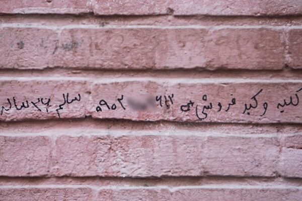 کلیه ۱۵۰، ‌نیمی از کبد ۲۰۰ میلیون تومان!