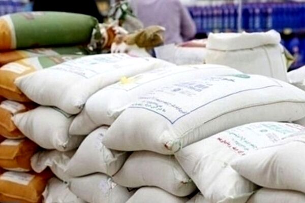فاجعه برنج‌های رسوبی؛ بازهم پای دلار جهانگیری در میان است!