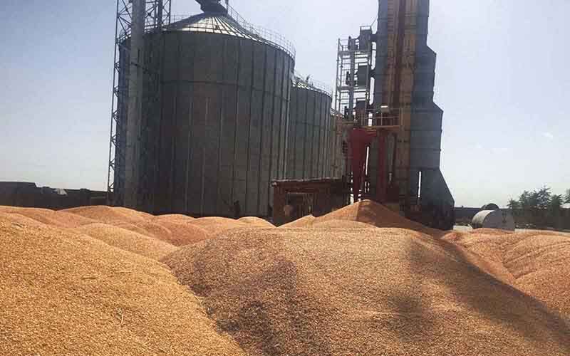اداره غله خراسان رضوی مشکل کمبود نیرو دارد