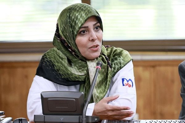  تهران تعطیل و جاده‌های ورودی و خروجی به آن بسته شود