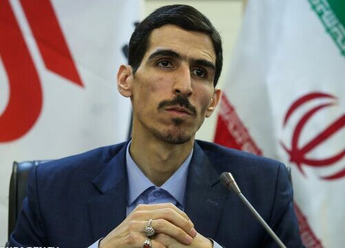 طرح تامین کالاهای اساسی تورم زا نیست/ وضعیت ارزی دولت خوب است