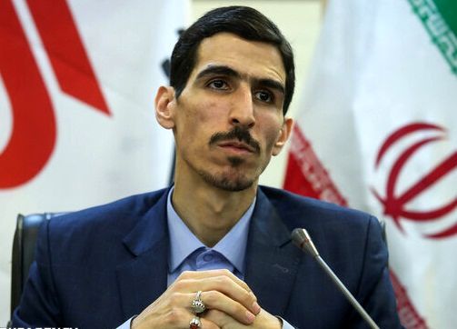 طرح تامین کالاهای اساسی تورم زا نیست/ وضعیت ارزی دولت خوب است