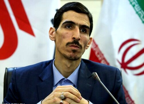 طرح تامین کالاهای اساسی تورم زا نیست/ وضعیت ارزی دولت خوب است