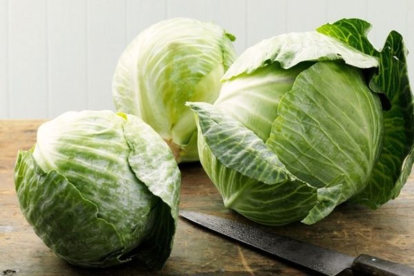 ویتامین U؛ از فواید تا جایگزین ها