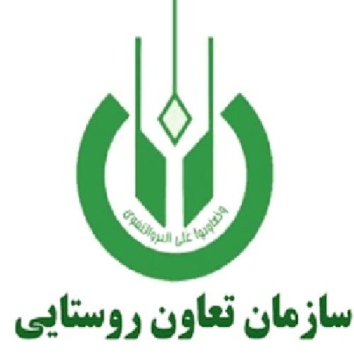 تشکل‌های شبکه تعاون روستایی باید به سمت تکمیل زنجیره تولید حرکت کنند
