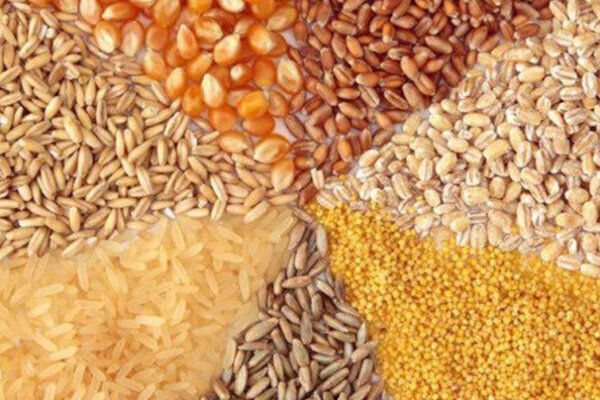 کاهش نرخ نهاده‌های دامی در خراسان رضوی
