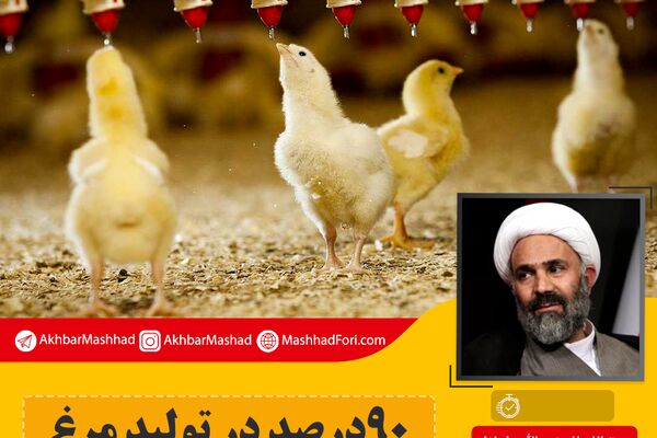 ۹۰ درصد در تولید مرغ وابستگی داریم