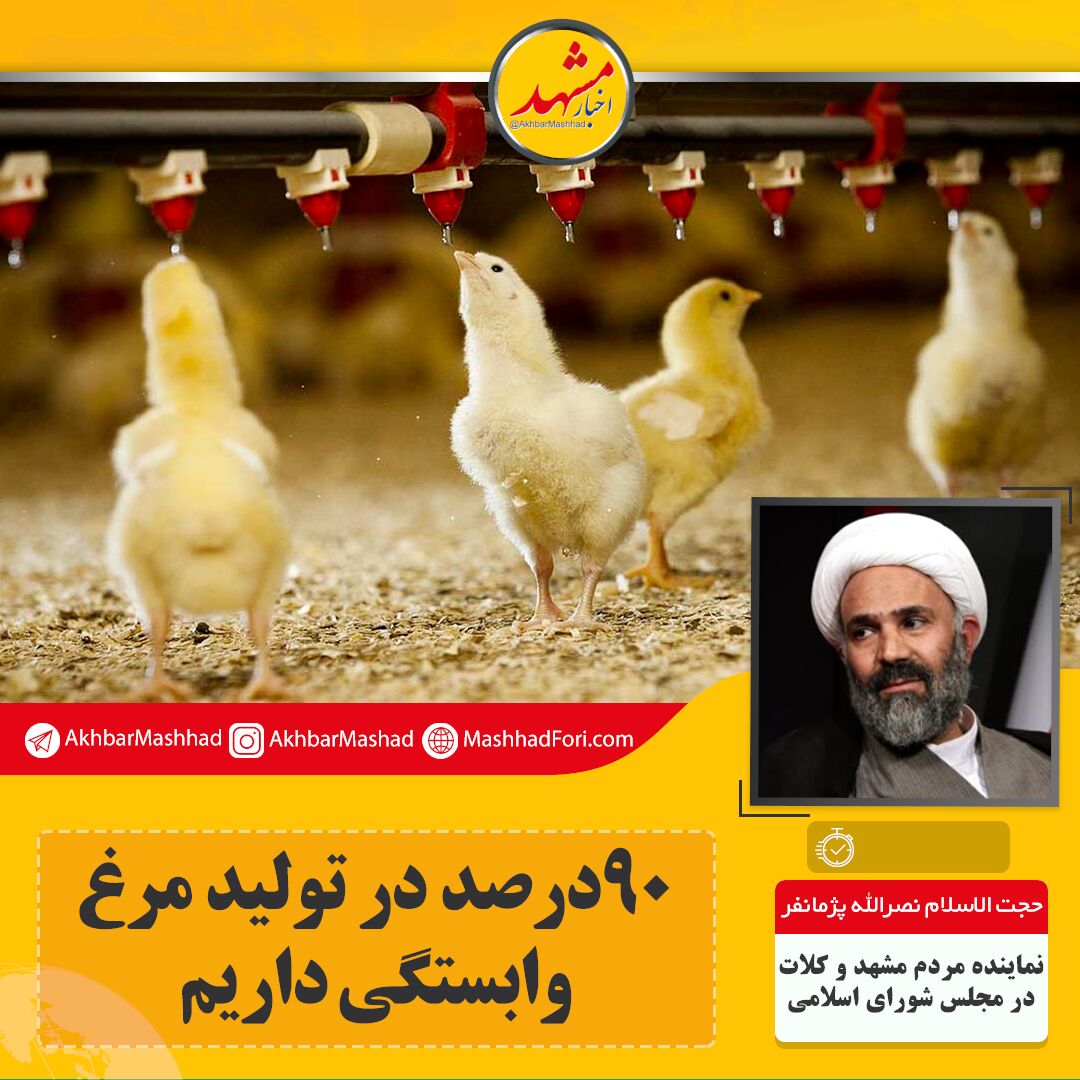 ۹۰ درصد در تولید مرغ وابستگی داریم