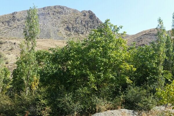 سفری کوتاه و جذاب به روستای مجد مشهد