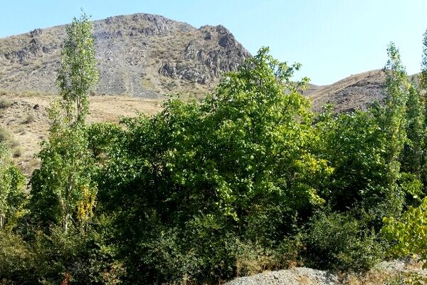 سفری کوتاه و جذاب به روستای مجد مشهد