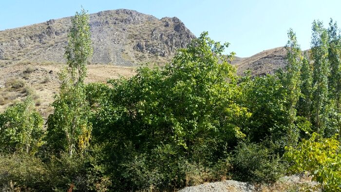 سفری کوتاه و جذاب به روستای مجد مشهد