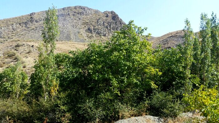 سفری کوتاه و جذاب به روستای مجد مشهد