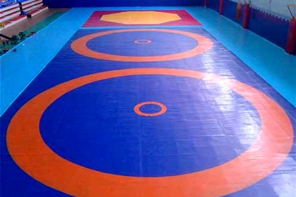 مشهد امروز ملی پوش کشتی ندارد