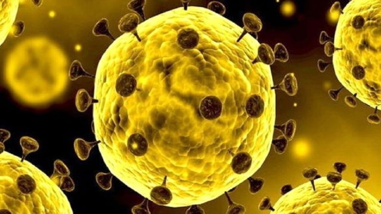 وضعیت کرونایی مشهد زرد شد