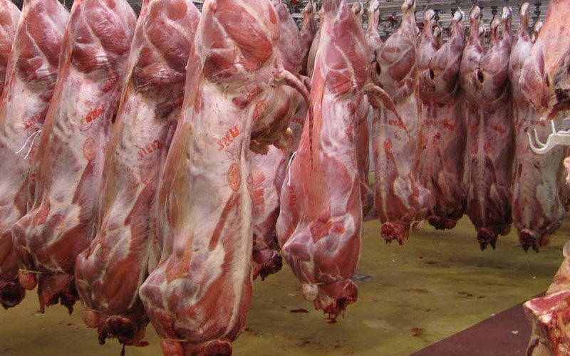 مشکلی برای تامین گوشت قرمز در خراسان رضوی وجود ندارد