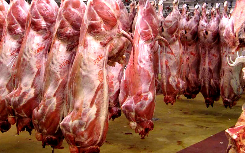 مشکلی برای تامین گوشت قرمز در خراسان رضوی وجود ندارد