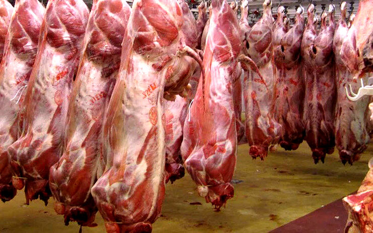 320 تن گوشت گوسفندی پودر می‌شود