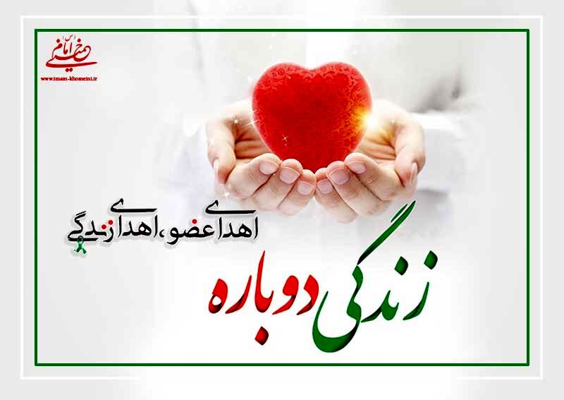 با اهدای عضو یک نفر، 6 بیمار، جان دوباره گرفتند