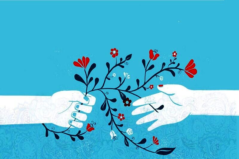 ساخت منزل برای فقرا تا ترک اعتیاد کارتن‌خواب‌ها توسط بانوی مشهدی