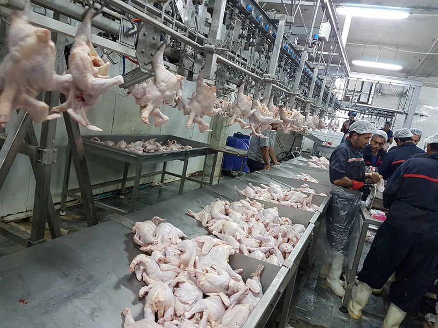کشتارکن‌ها، تعاونی تشکیل دادند