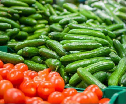 علت گرانی خیار، سرمازدگی است