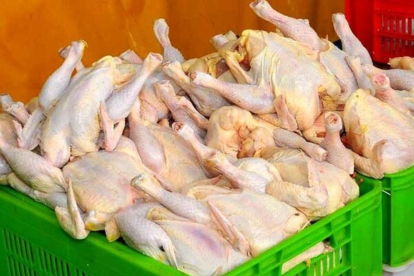 ناز مرغ برای بازار!