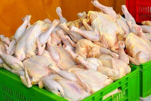 ناز مرغ برای بازار!
