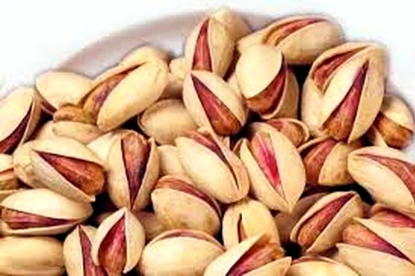 خراسان‌رضوی مقام دوم تولید پسته را در کشور دارد
