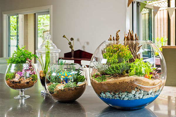 باغ شیشه‌ای را در خانه بسازید