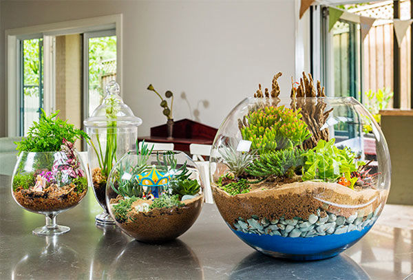 باغ شیشه‌ای را در خانه بسازید