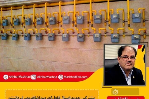 خراسان رضوی رتبه دوم جمعیت تحت پوشش گاز را دارد/ مدیریت خطوط گاز و برق سراسری است