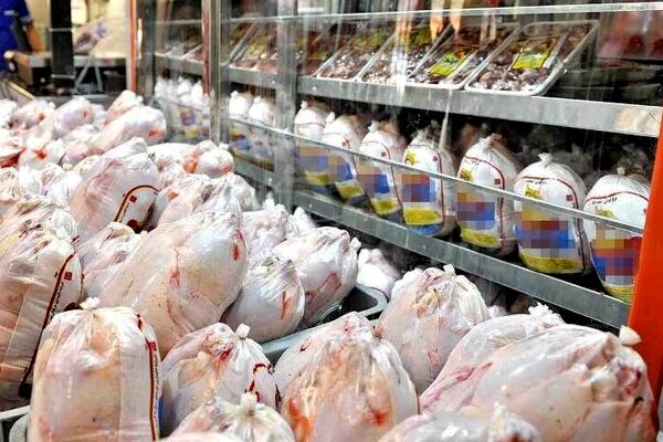 تشدید برخوردهای قانونی و قضایی با تخلفات تولید و عرضه گوشت مرغ